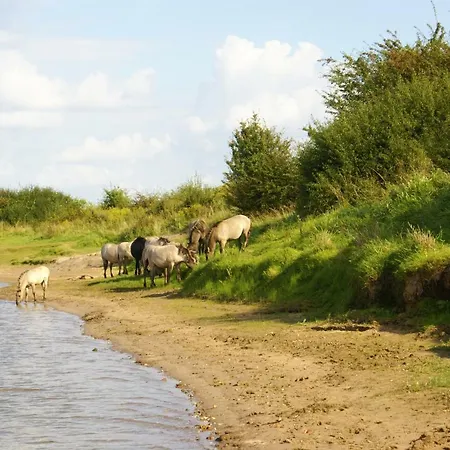 Vakantiehuis Nijmegen Erlecom