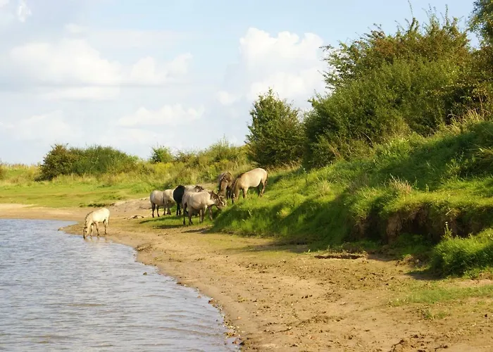 Vakantiehuis Nijmegen Erlecom