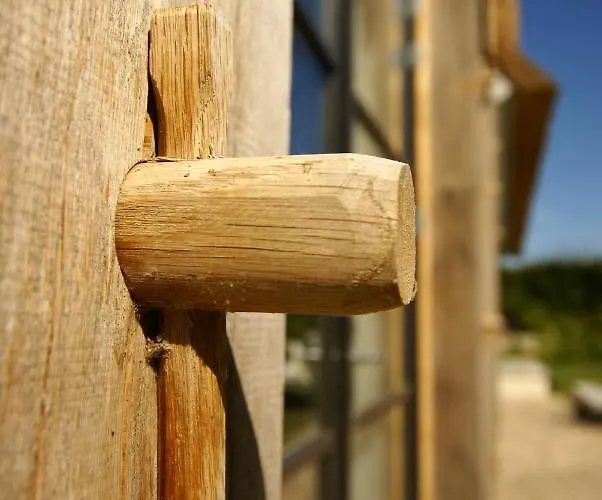 Nijmegen Σπίτι διακοπών Erlecom